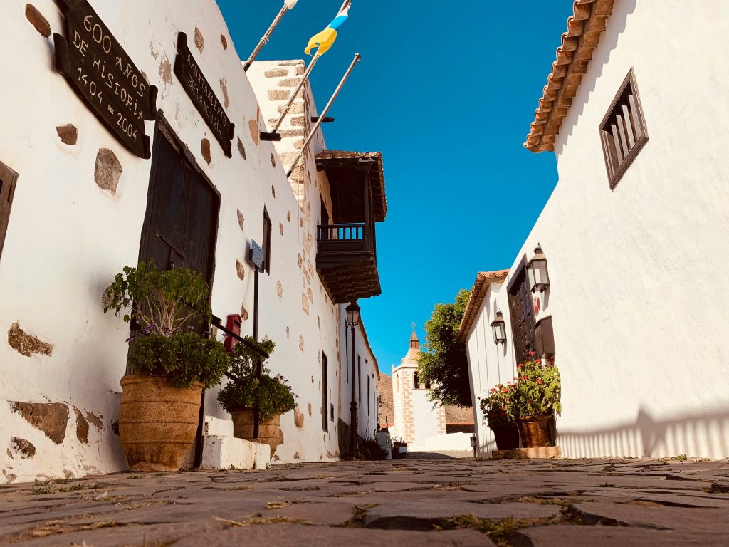 giuseppe buccola arfa7ivifl8 unsplash