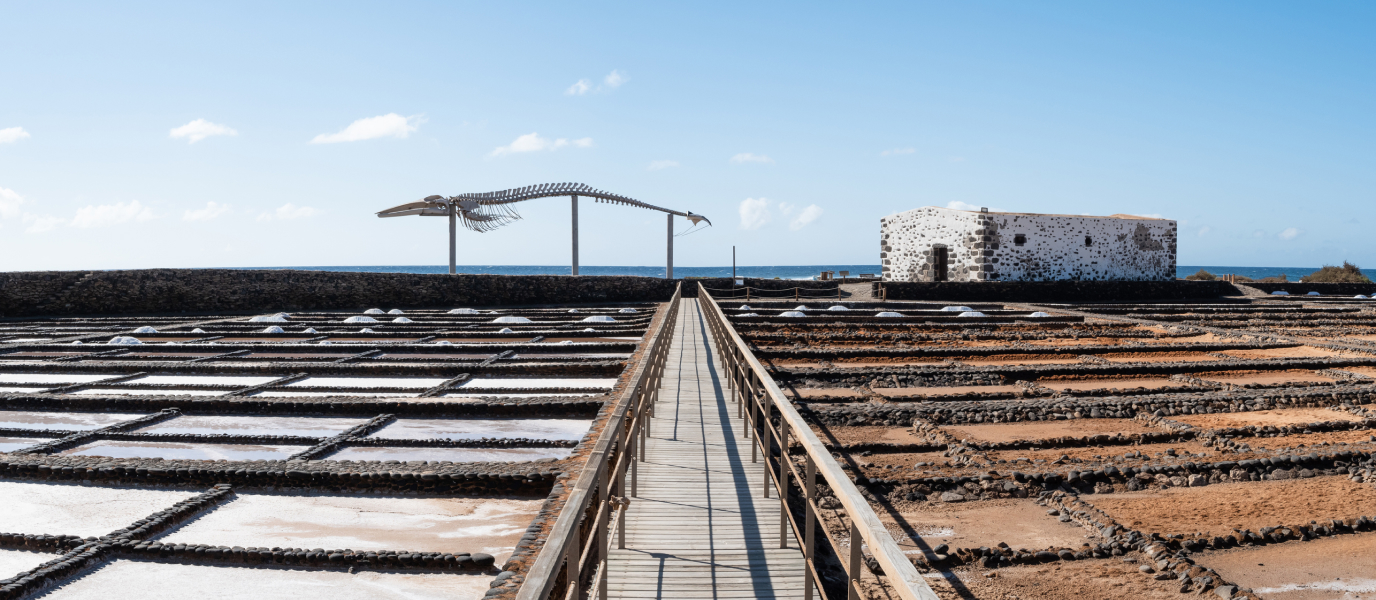 salinas del carmen 1