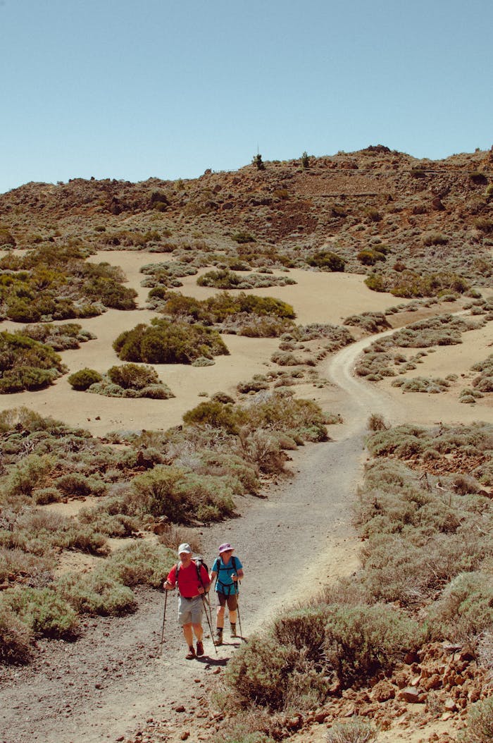 Two hikers traverse a rocky path amidst the unique terrain of Tenerife, Spain.