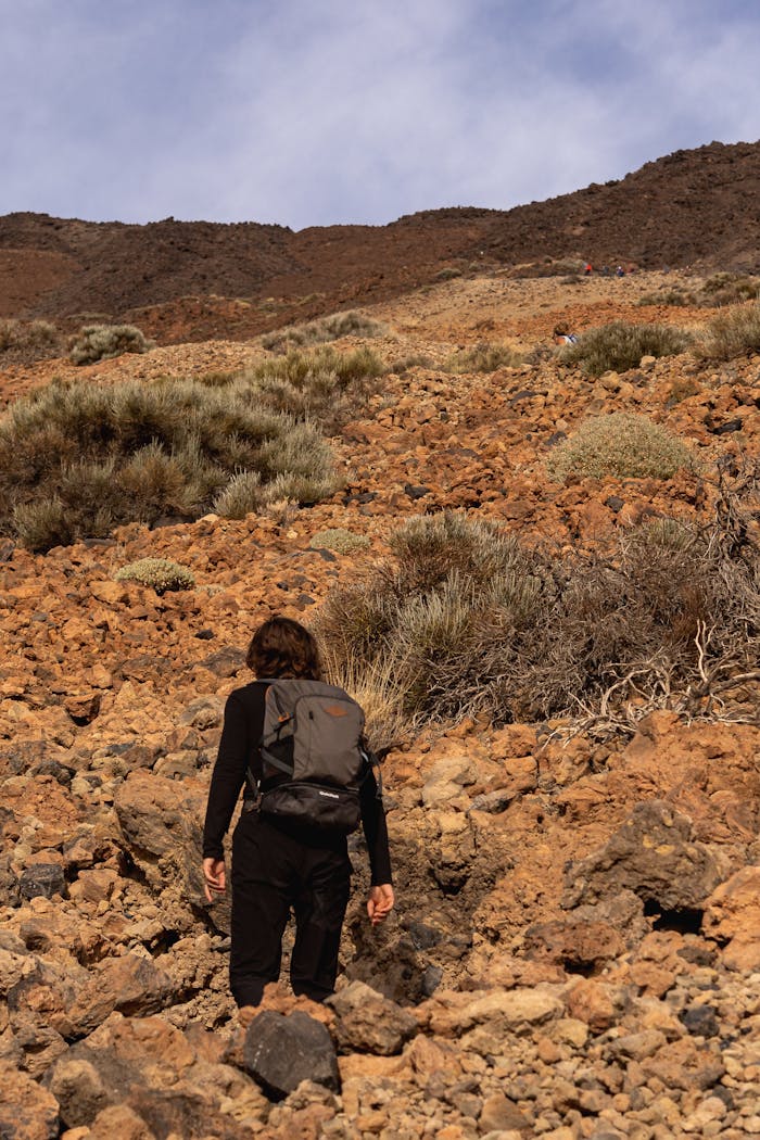 A lone hiker climbs a rocky trail in an arid landscape under a clear sky.