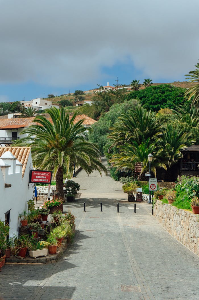 A picturesque street in a Mediterranean village lined with palm trees and traditional architecture.