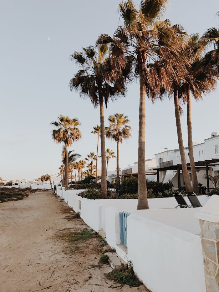 A sandy path lined with palm trees and white walls in Corralejo, Fuerteventura.
