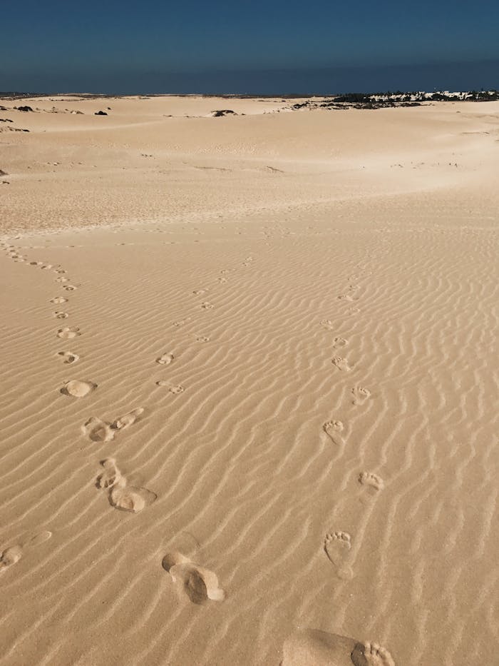 Serene landscape of footprints across vast sandy desert dunes on a sunny day.